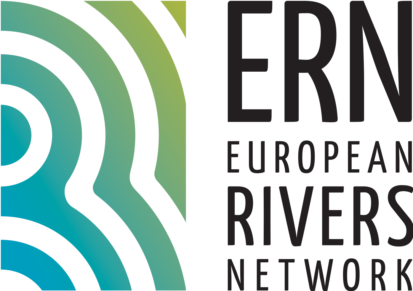Logo ERN