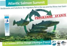 Salmon Summit Huningue 2015 Rhin